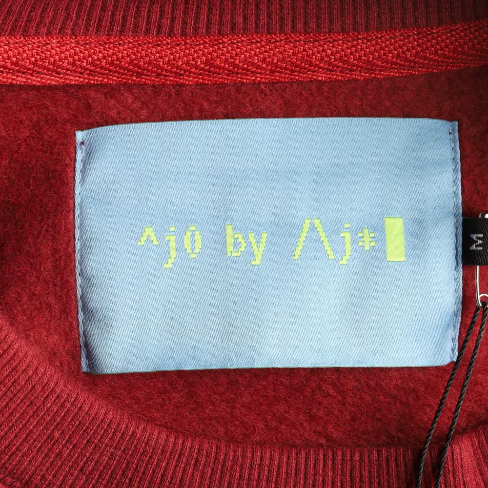 아조바이아조 스웨트셔츠 기모 브릭 이미지 5